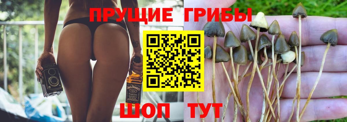 наркота  Галлюциногенные грибы MAGIC MUSHROOMS  Вход с VPN  Можга 