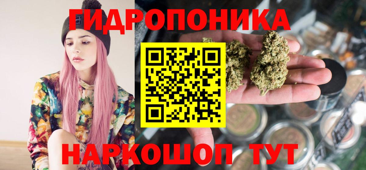 Бошки Шишки семена Можга